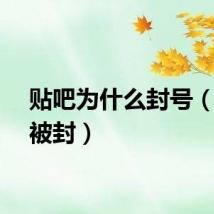 贴吧为什么封号（贴吧被封）