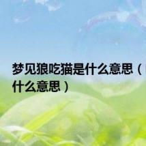 梦见狼吃猫是什么意思（吃猫是什么意思）