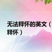 无法释怀的英文（无法释怀）