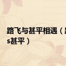 路飞与甚平相遇（路飞vs甚平）