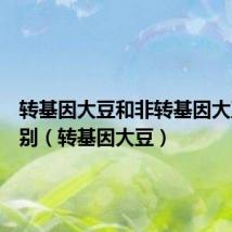 转基因大豆和非转基因大豆的区别(转基因大豆)