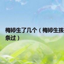 梅婷生了几个（梅婷生孩子戏一条过）