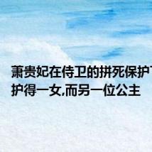 萧贵妃在侍卫的拼死保护下逃脱,护得一女,而另一位公主