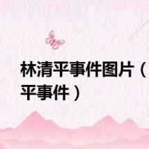 林清平事件图片（林清平事件）