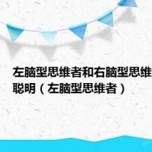 左脑型思维者和右脑型思维者哪个聪明(左脑型思维者)