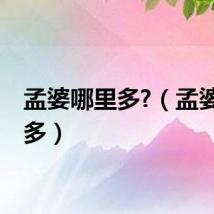 孟婆哪里多?（孟婆哪里多）