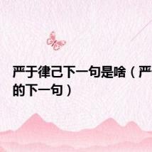 严于律己下一句是啥（严于律己的下一句）
