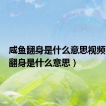 咸鱼翻身是什么意思视频（咸鱼翻身是什么意思）