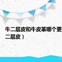 牛二层皮和牛皮革哪个更好(牛二层皮)