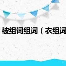 被组词组词（衣组词组）