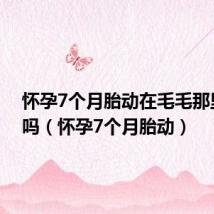 怀孕7个月胎动在毛毛那里正常吗（怀孕7个月胎动）