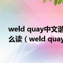weld quay中文谐音怎么读（weld quay）