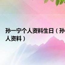 孙一宁个人资料生日（孙一宁个人资料）