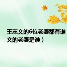 王志文的6位老婆都有谁（王志文的老婆是谁）
