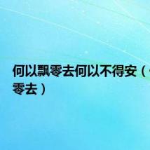 何以飘零去何以不得安（何以飘零去）