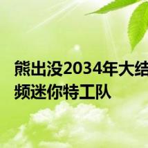 熊出没2034年大结局 视频迷你特工队