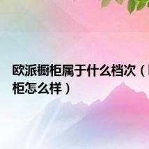 欧派橱柜属于什么档次（欧派橱柜怎么样）