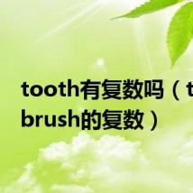 tooth有复数吗（toothbrush的复数）