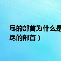 尽的部首为什么是尸（尽的部首）