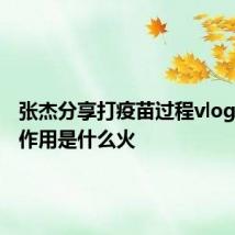 张杰分享打疫苗过程vlog蜂胶的作用是什么火