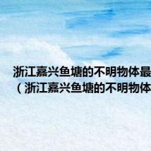 浙江嘉兴鱼塘的不明物体最新进展（浙江嘉兴鱼塘的不明物体）