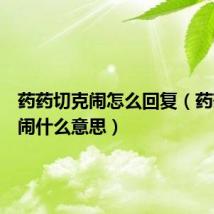 药药切克闹怎么回复（药药切克闹什么意思）