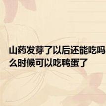 山药发芽了以后还能吃吗小孩什么时候可以吃鸭蛋了