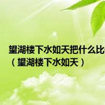 望湖楼下水如天把什么比作什么(望湖楼下水如天)