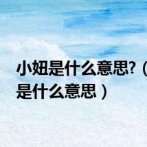 小妞是什么意思?（小妞是什么意思）