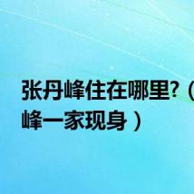 张丹峰住在哪里?（张丹峰一家现身）