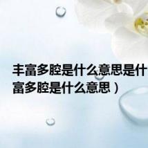 丰富多腔是什么意思是什么（丰富多腔是什么意思）