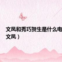 文凤和秀巧贺生是什么电视剧（文凤）