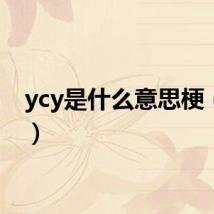 ycy是什么意思梗（ycy）