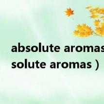 absolute aromas（absolute aromas）