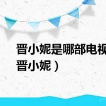 晋小妮是哪部电视剧（晋小妮）