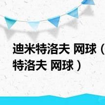 迪米特洛夫 网球(季米特洛夫 网球)