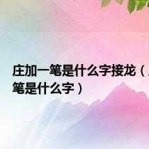 庄加一笔是什么字接龙（庄加一笔是什么字）