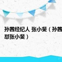 孙茜经纪人 张小斐(孙茜经纪人怼张小斐)