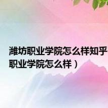 潍坊职业学院怎么样知乎（潍坊职业学院怎么样）