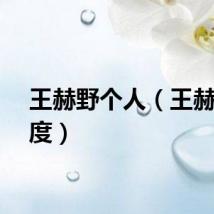 王赫野个人（王赫野百度）