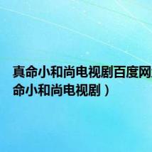 真命小和尚电视剧百度网盘（真命小和尚电视剧）