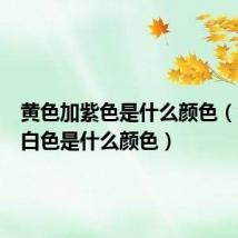 黄色加紫色是什么颜色（黄色加白色是什么颜色）
