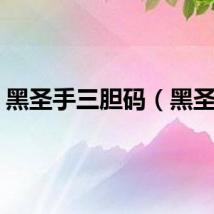 黑圣手三胆码（黑圣手）