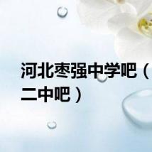 河北枣强中学吧（枣强二中吧）