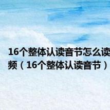 16个整体认读音节怎么读拼音视频（16个整体认读音节）
