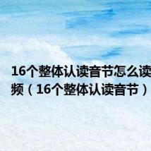 16个整体认读音节怎么读拼音视频（16个整体认读音节）