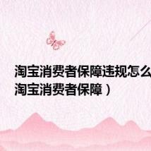 淘宝消费者保障违规怎么申诉（淘宝消费者保障）