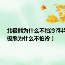 北极熊为什么不怕冷?科学（北极熊为什么不怕冷）