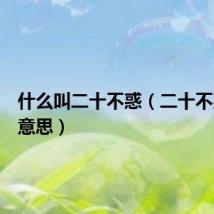 什么叫二十不惑（二十不惑什么意思）