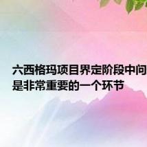 六西格玛项目界定阶段中问题描述是非常重要的一个环节